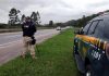 Acidentes e vítimas caem com suspensão do uso dos radares da PRF PRF