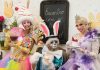 Encontro virtual com o Sr. Coelho anima Páscoa nas redes sociais do Taguatinga Shopping
