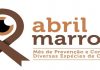 Abril marrom alerta as prevenções e causas da cegueira