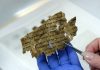 Arqueólogos encontram novos fragmentos dos Manuscritos do Mar Morto.