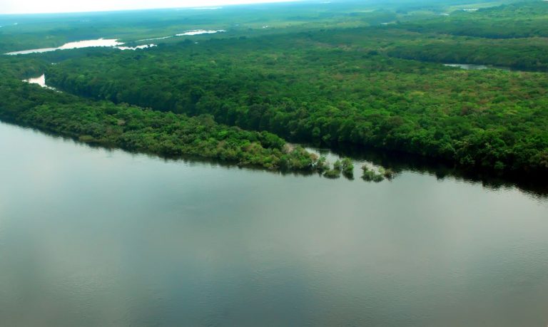Decreto renova atuação das Forças Armadas na Amazônia .