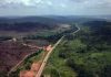 Governo leiloa rodovia que liga Mato Grosso à Hidrovia do Tapajós.