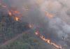 Cerrado registra maior número de focos de incêndio desde 2012