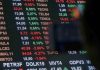 Petrobras e Vale continuam dominando o Ibovespa? Analista explica os efeitos