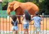 O que abre e fecha na segunda-feira (15), feriado da República.