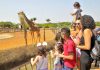 Não gosta de Carnaval? Veja opções para se divertir durante o feriadão.