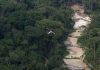 MEIO AMBIENTE Ibama define nova prioridade para enfrentar perdas na biodiversidade e a crise climática