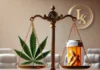 Legalização das Drogas: Descriminalização e Regulamentação do Uso Recreativo e Medicinal
