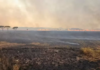 Incêndio destrói cerca de 10 mil hectares na Chapada dos Veadeiros, em Goiás