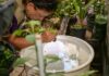 Operação intensifica fiscalização para evitar dengue, chikungunya e zika