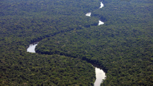 Câmara dos Deputados aprova projeto de lei que fragiliza as regras para o licenciamento ambiental