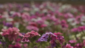 Primavera começa em meio à chegada de frente fria, com temporais e ventos fortes
