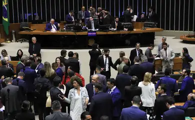 Câmara aprova urgência para votar direito à bagagem de mão gratuita
