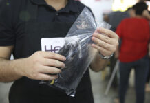 DF disponibiliza banco de perucas para pessoas em tratamento contra o câncer