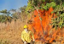 Queima de lixo e vegetação é crime ambiental e eleva risco de incêndio durante o período de seca